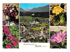Austria Telfs Aerial View Alpenblumen Flowers Multiview Tirol Alps Postc... - $4.99