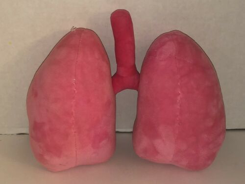 lung stuffed animal