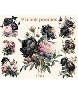 Black peonies clipart Watercolor png, cute  floral digital print, illust... - $3.12