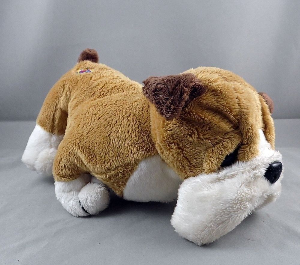 webkinz boxer