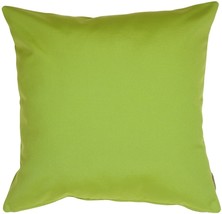 Sunbrella Macaw Green 20x20 Outdoor Pillow, with Polyfill Insert - $54.95