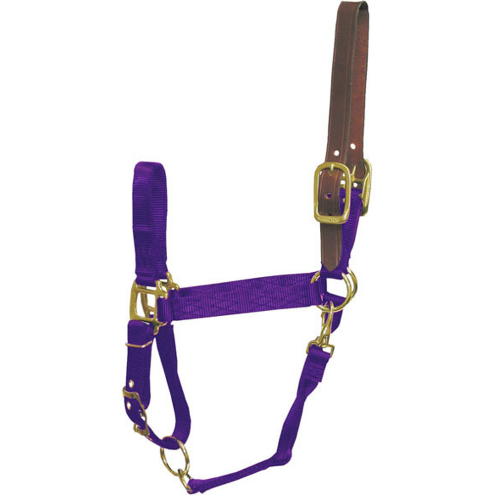 Hamilton Purple Adjustable Horse Halter With Leather Headpole Large