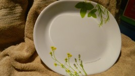 Corelle Europ EAN Herbs 12.25 Inch Oval Serving Platter New Free Usa Shipping - $28.04