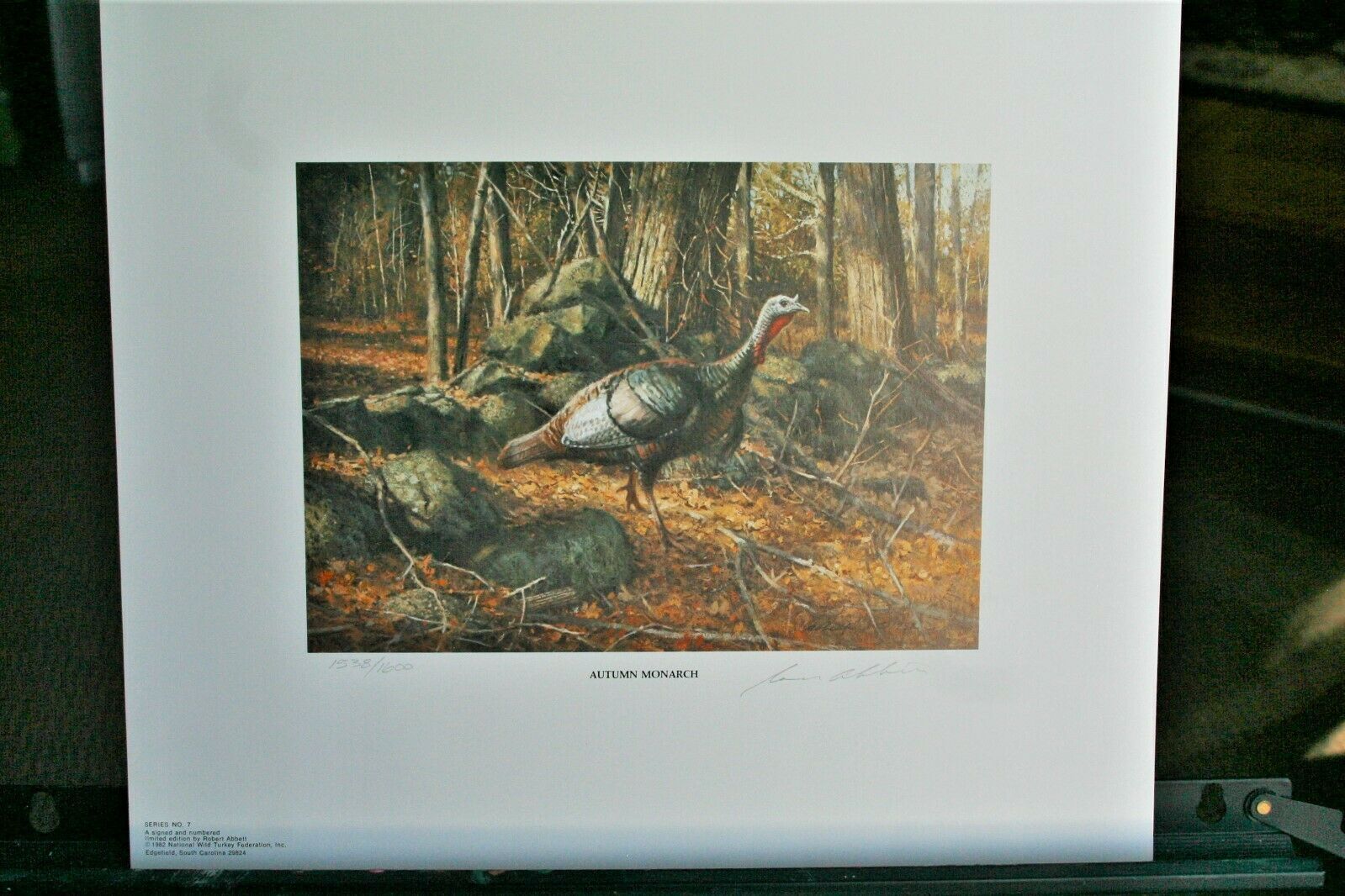 1982 National Wild Turkey Fed Print And Stamp By Robert Abbett Lit Edition Duck Stamps