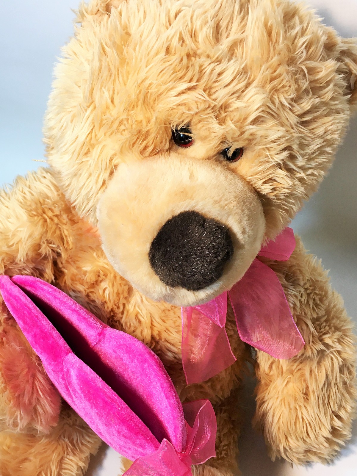 gund valentine bear