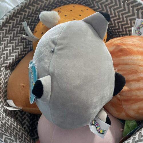 gordon black tip squishmallow