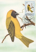 First Day Cover Postcard Bird Camussela Galo Textur Velatus Peixotoi 1983 - $15.16