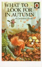 What To Look For In Autumn Squirrel Ladybird 1st Edn Book Postcard - $5.99