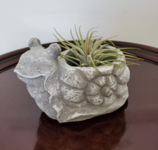 Cement Snail Planter with Air Plant, Animal Succulent Planter, Airplant Holder