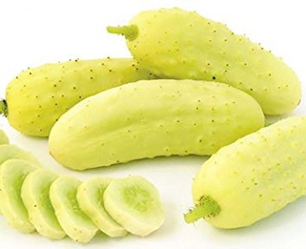 SHIP From US, 10 Seeds Salt And Pepper Cucumber, DIY Healthy Vegetable