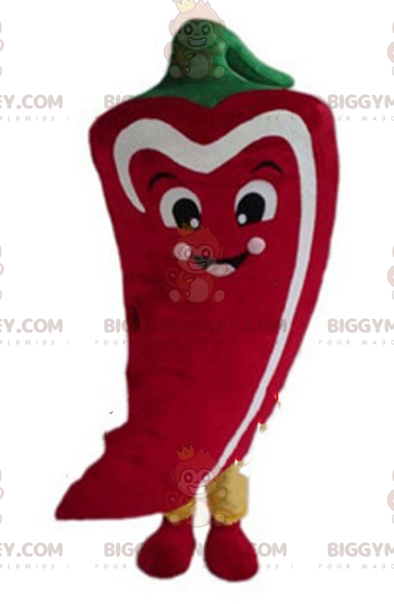 Chili pepper BIGGYMONKEY™ mascot costume, pepper costume, chili costume
