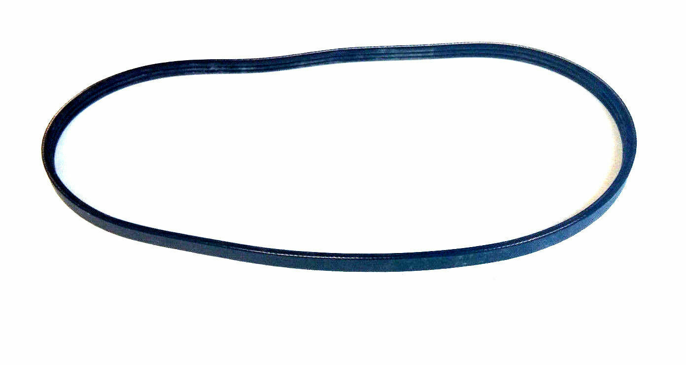 sunny belt bike