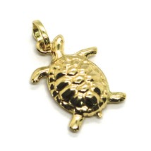 18K YELLOW GOLD PENDANT, ROUNDED TURTLE, SMOOTH, 0.7 INCHES, MADE IN ITALY image 1