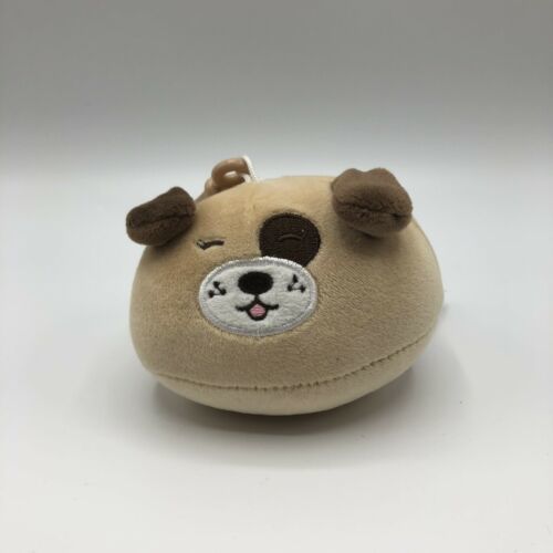 miniso puppy