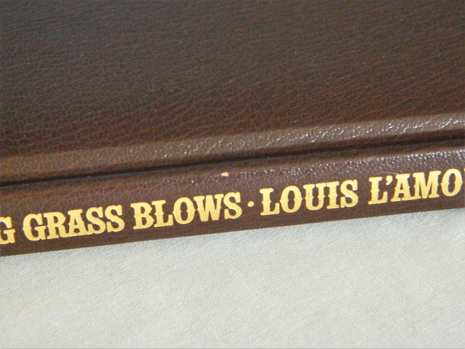Where The Long Grass Blows Louis L’amourLeatherette CollectionBantam