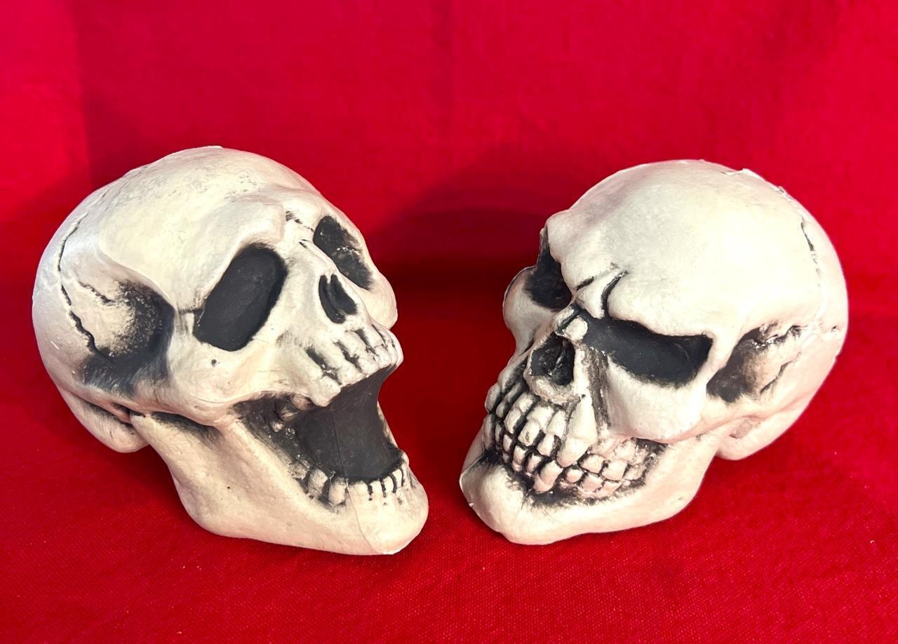 Primary image for 2 Small Human Skull Blow Mold Skeleton Horror Haunted Party Prop Halloween Decor