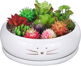 Koolkatkoo 8 Inch Large Cute Cat Ceramic Succulent Planter Pots With Plant - $38.98