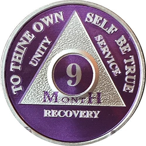 9 Month Purple Silver Plated AA Medallion Chip