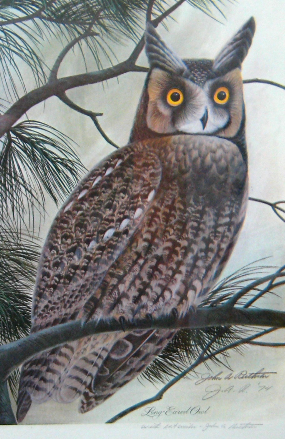 John Ruthven Long Eared Owl Litho Framed Print 1974 Double Signed Bird
