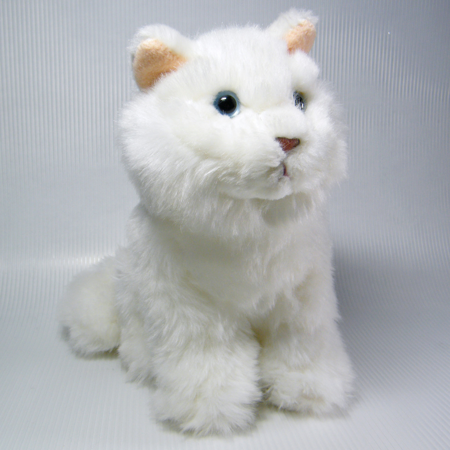 persian cat webkinz