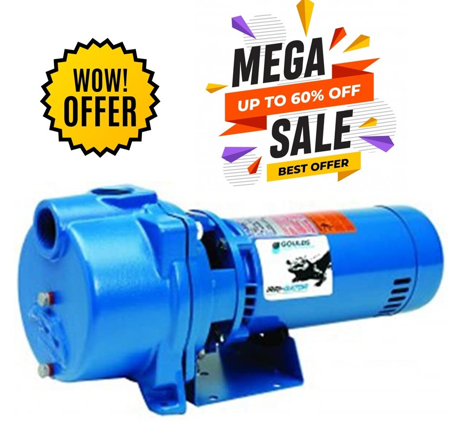 GOULDS Pumps GT30 IRRIGator SelfPriming Centrifugal Pump, 3 HP 1