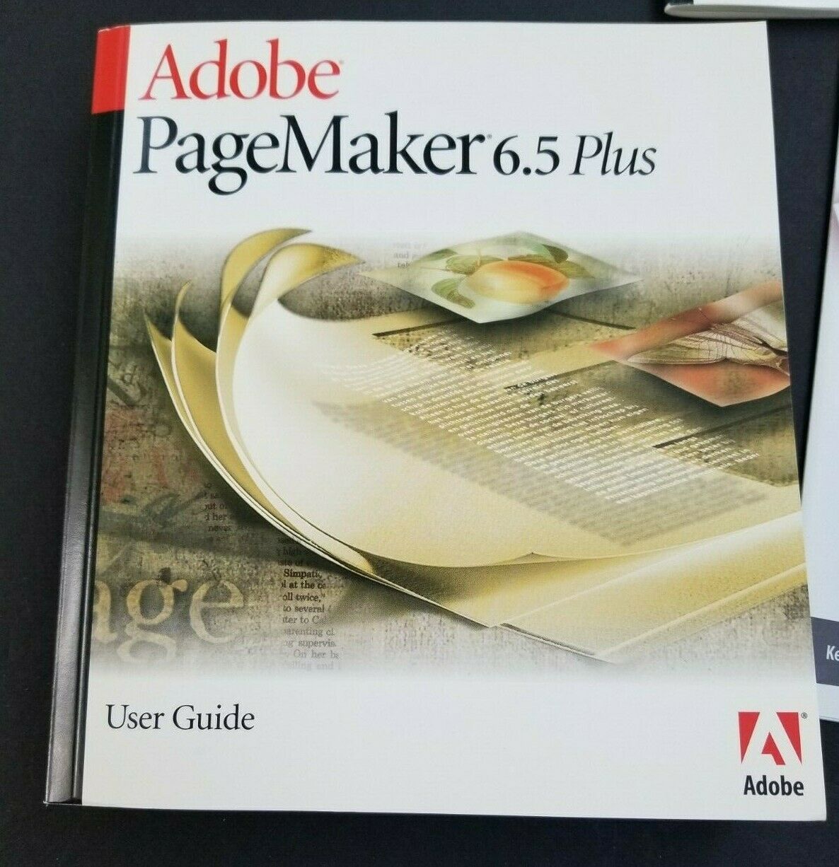 adobe pagemaker 6.5 windows xp