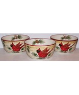BEAUTIFUL SET OF 3 MAXCERA CARDINAL WARM WISHES SOUP/CEREAL BOWLS - $32.96
