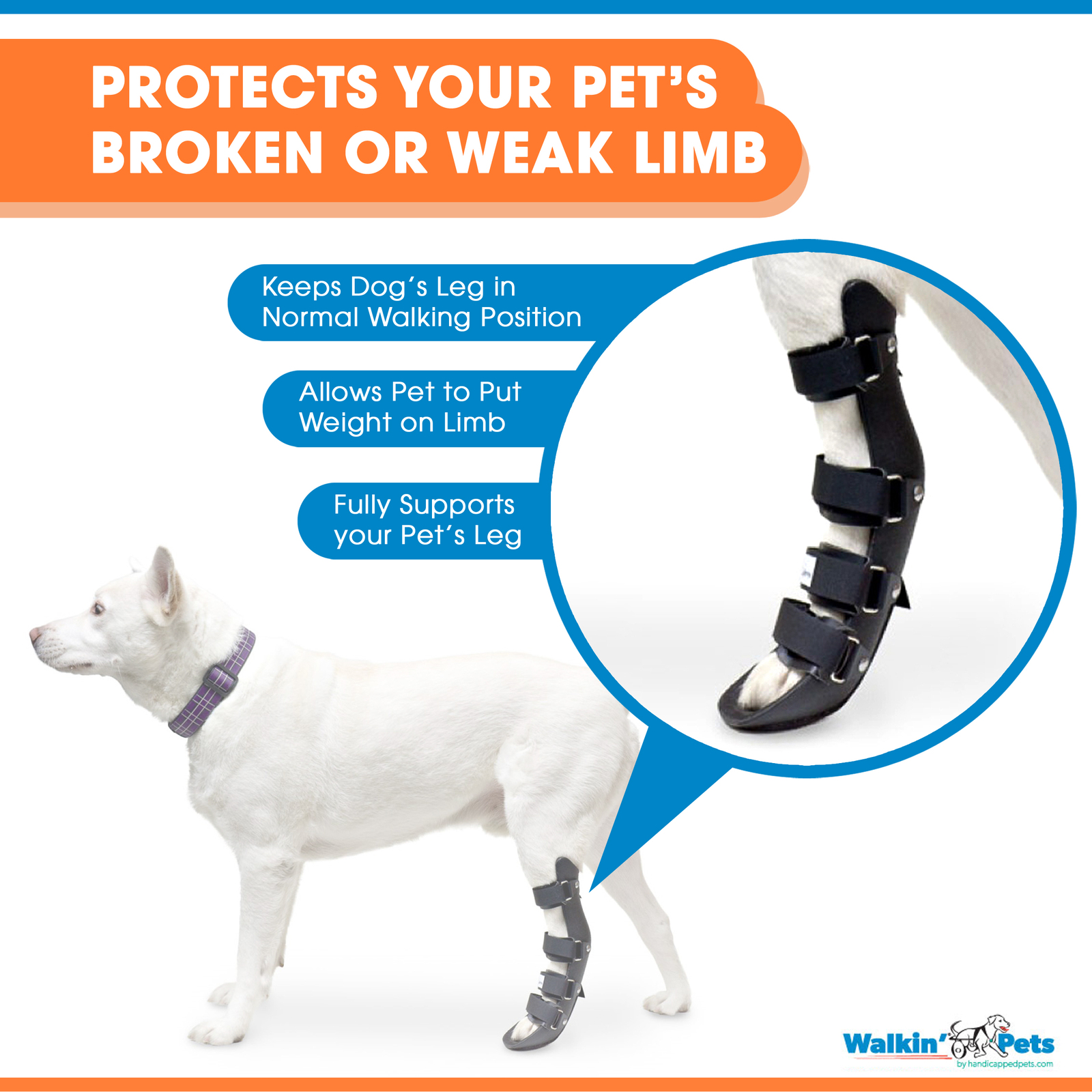 Pet Splint for Dogs | Canine Rear Foot Splint Helps Brace Lower Back ...