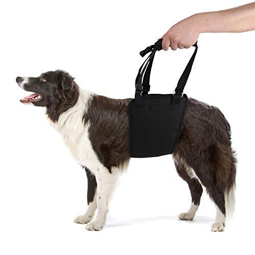 Lylyzoo Dog Sling Dog Lift Harness Dog Leg Brace for Hind Leg