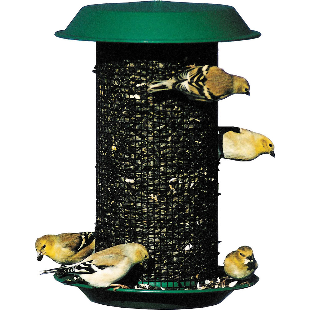 Audubon Woodlink Green Magnum Black Oil Sunflower Seed Feeder 5 Pound Cap Seed Feeders