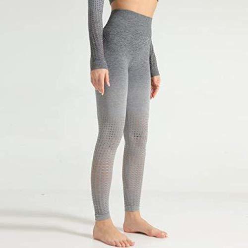 Laser Cut Seamless Set Ombre Gym Crop Top Yoga Leggings Girly Area S Gray Bottom