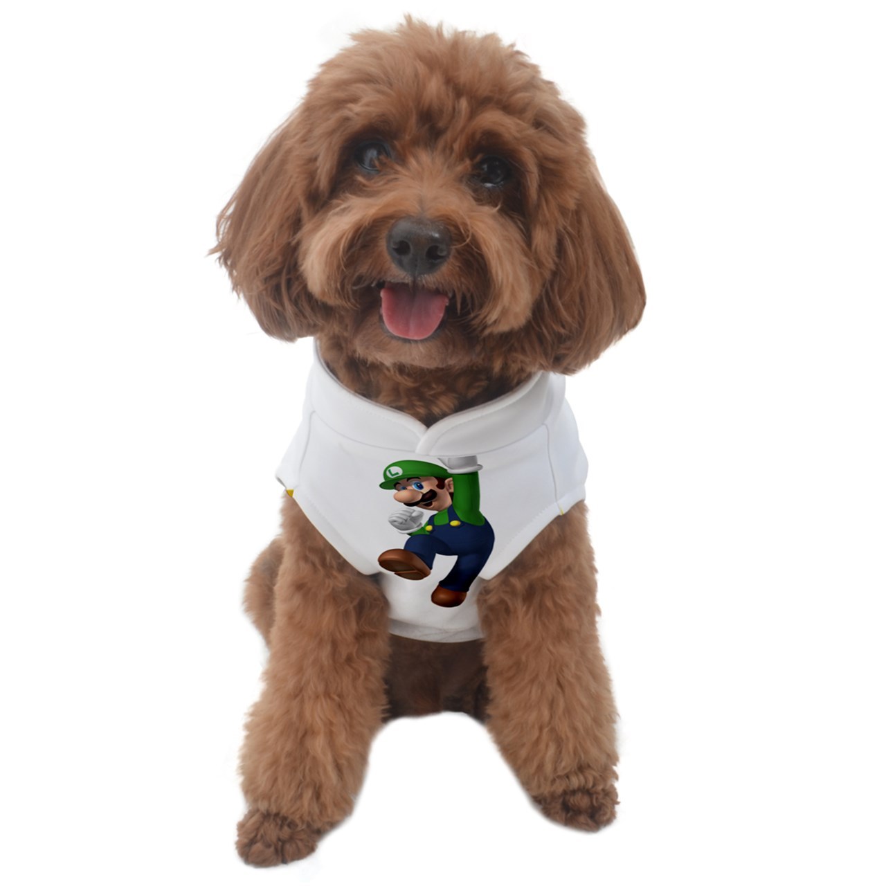 Dog Sweater luigi yoshi coins Dog Costumes
