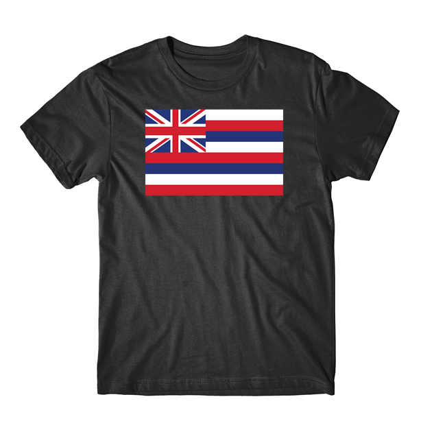 hawaii graphic t shirt