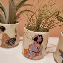 Air Plant in Upcycled Sake Cup, Japanese Geisha Porcelain Airplant Holder image 6