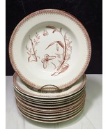 12 T &amp; R Boote Brown Transferware Summer Time Rimmed Soup Bowls Butterfly - $190.08