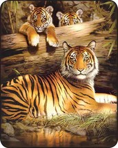 TIGER CUBS FAMILY QUIET FIRE MEDIUM WEIGHT FAUX FUR BED SPREAD BEDROOM BLANKET image 2