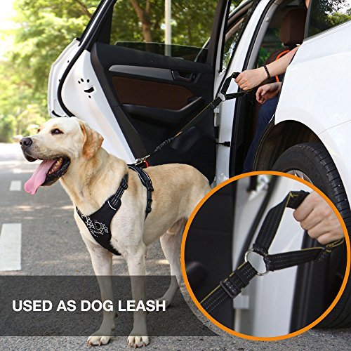 iBuddy Dog Seat Belt Car Headrest Restraint for Medium/Large Dogs ...