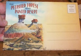 1929 Linen Pc Postcard Petrified Forest Painted Desert Navajo Arapaho Arizona Az - $32.10