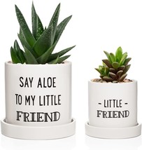 Laila And Lainey Aloe Pot And Succulent Planter - Set Of Two - Funny - $41.99