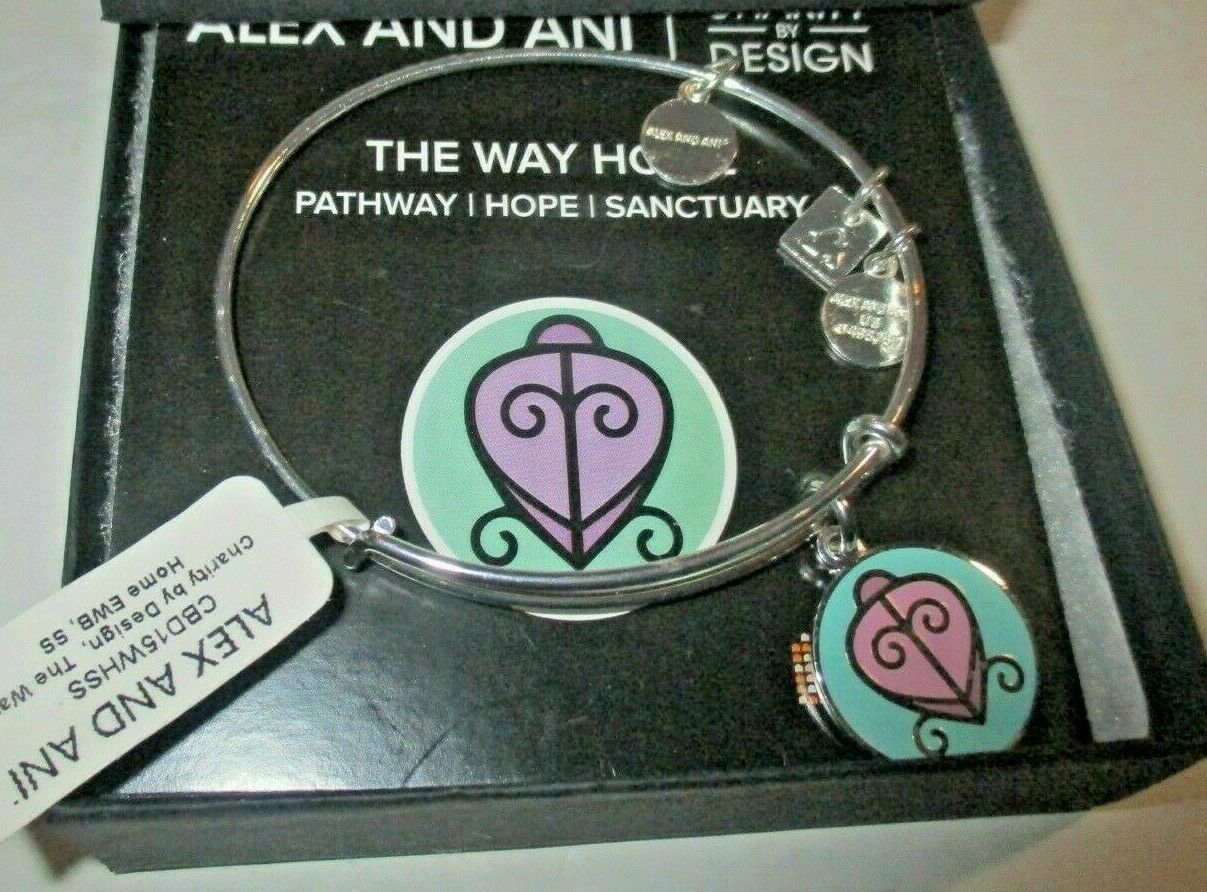 Alex and Ani Charity Design THE WAY HOME Bracelet Silver Plated Scarab tags card