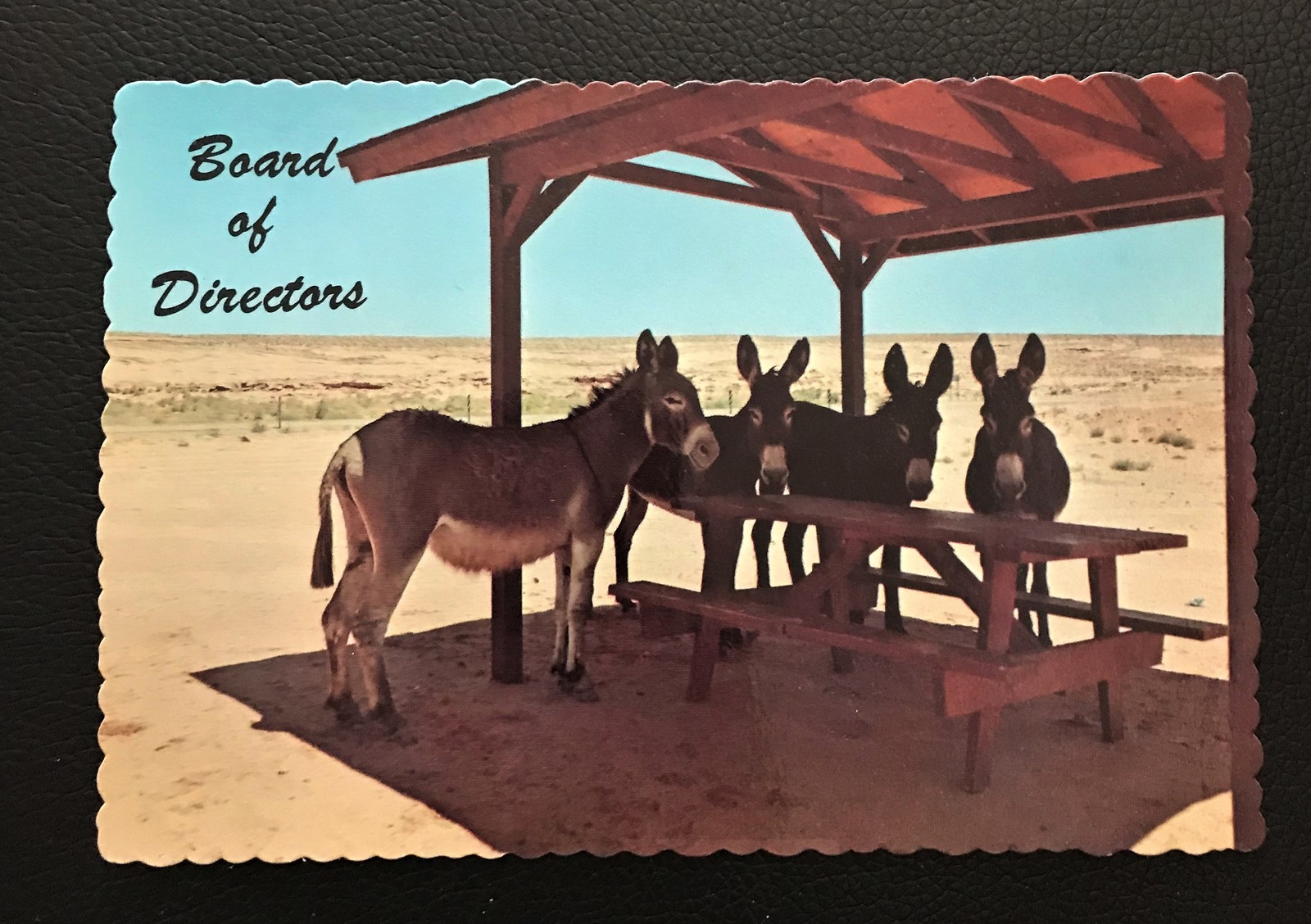 1960's DieCut Postcard Board of Directors Hilarious! Non