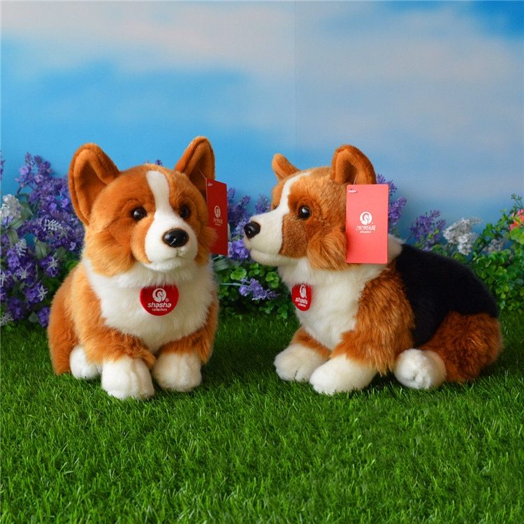 corgi corki plush