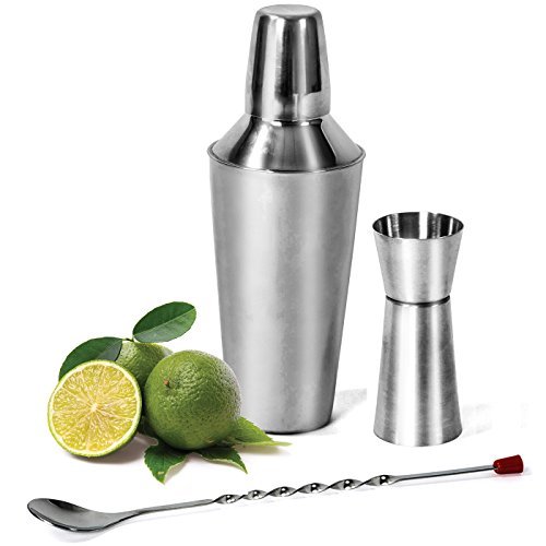 Colleta Home 24 oz Cocktail Shaker Mojito Kit Martini Shaker, Built
