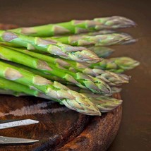 Asparagus Seeds - UC 72 - Vegetable Seeds - Outdoor Living - Gardening - $33.99