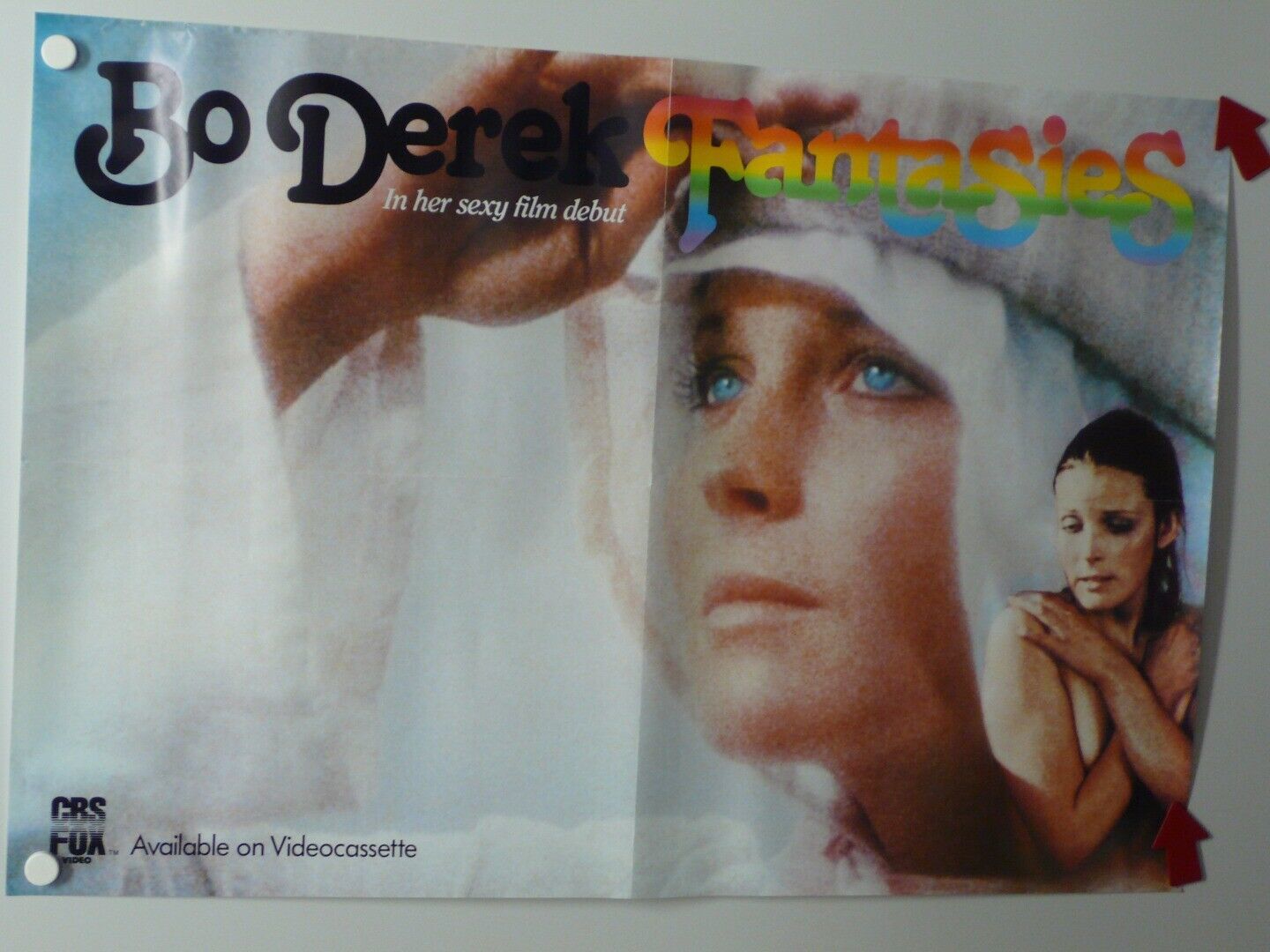 FANTASIES Bo Derek PETER HOOTEN Anna Alexiadis HOME VIDEO POSTER 1981 ...