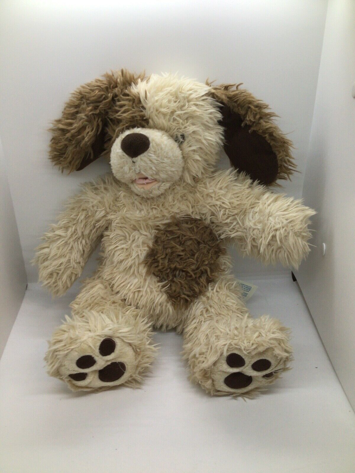 brown and white dog teddy