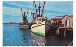 Fishing Shrimp Boats Brunswick Georgia postcard - $5.89