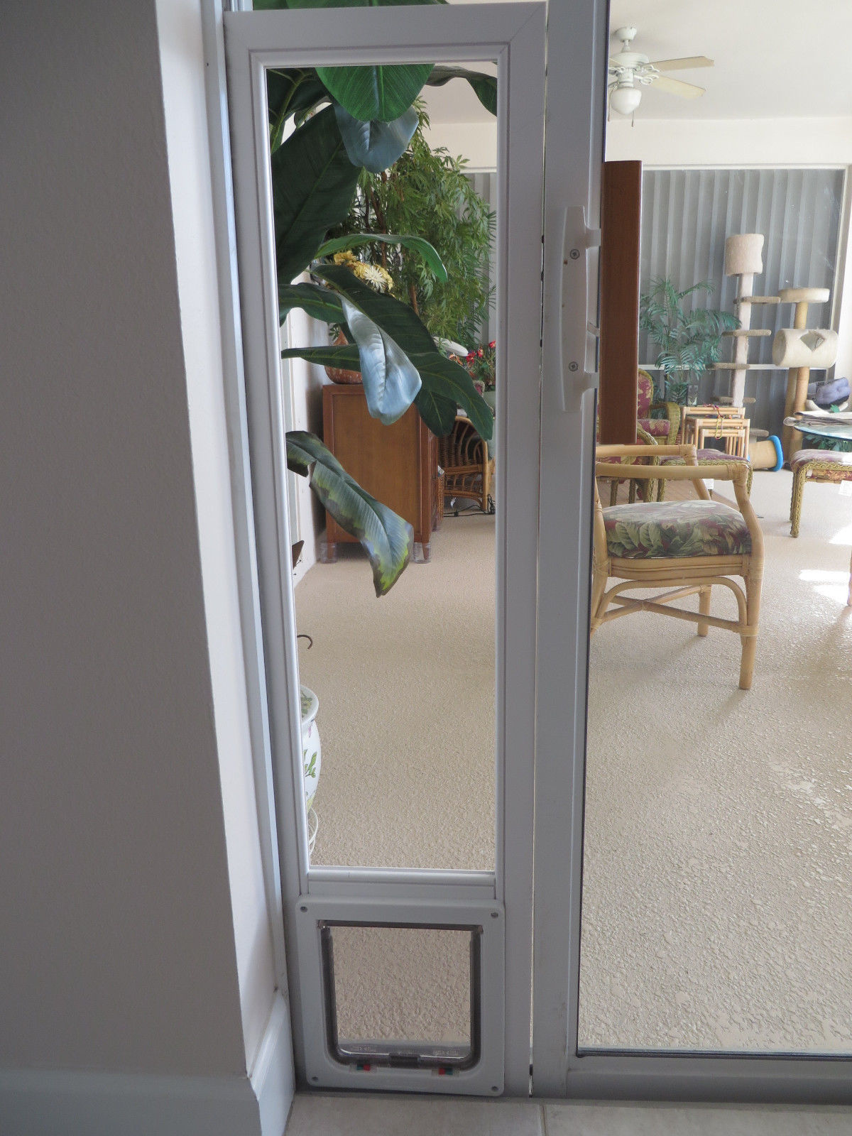 Glass vinyl vertical window with pet, dog, cat door, 7x7 flap, 1622