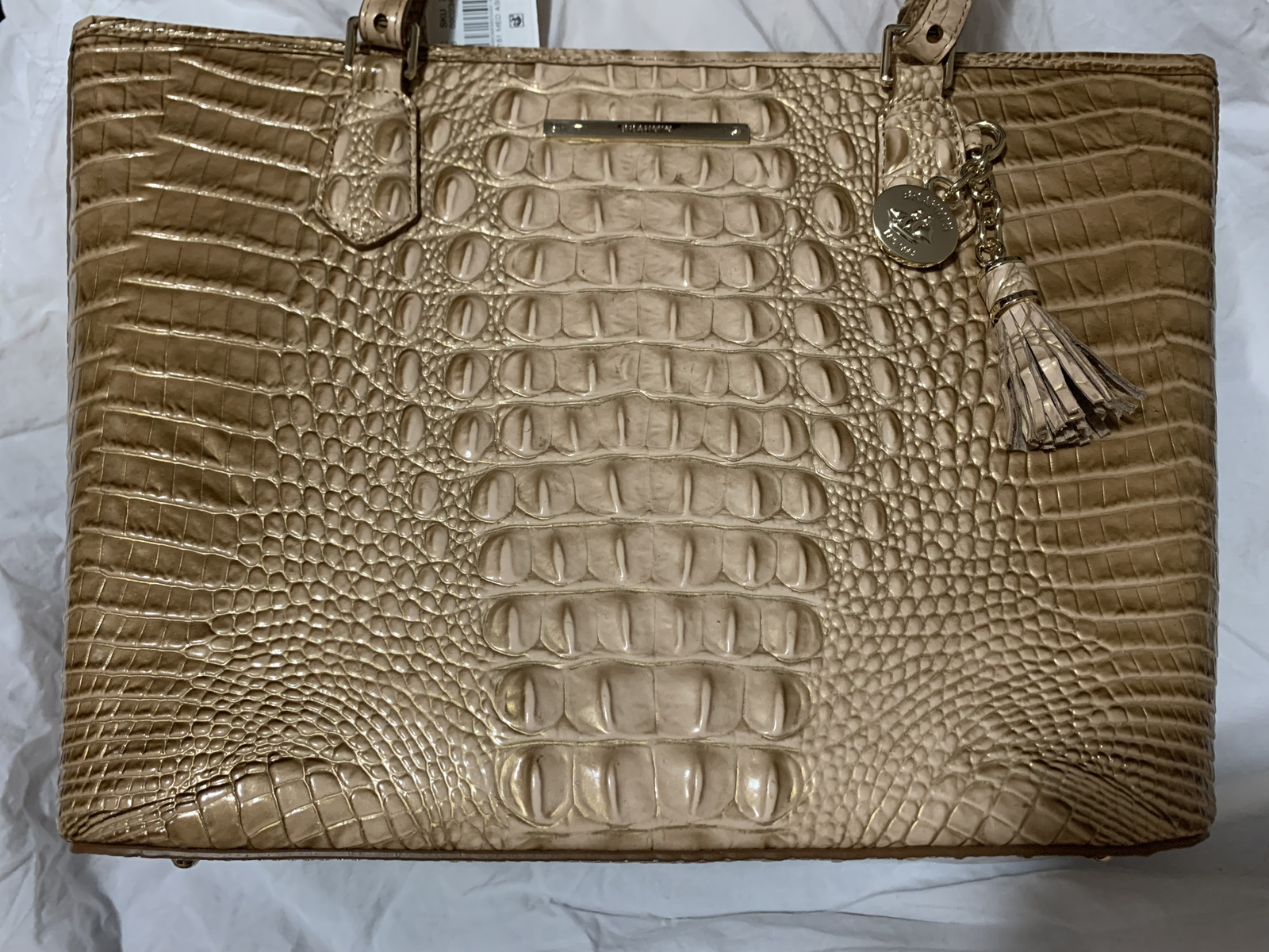 brahmin seacliff collection