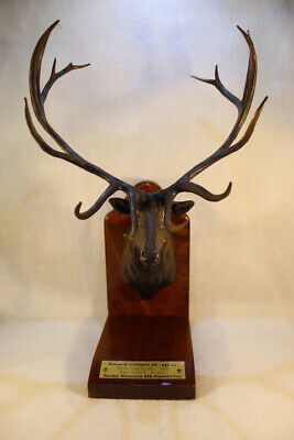 Bronze Elk by James Stafford Rocky Mountain Elk Foundation Boone ...